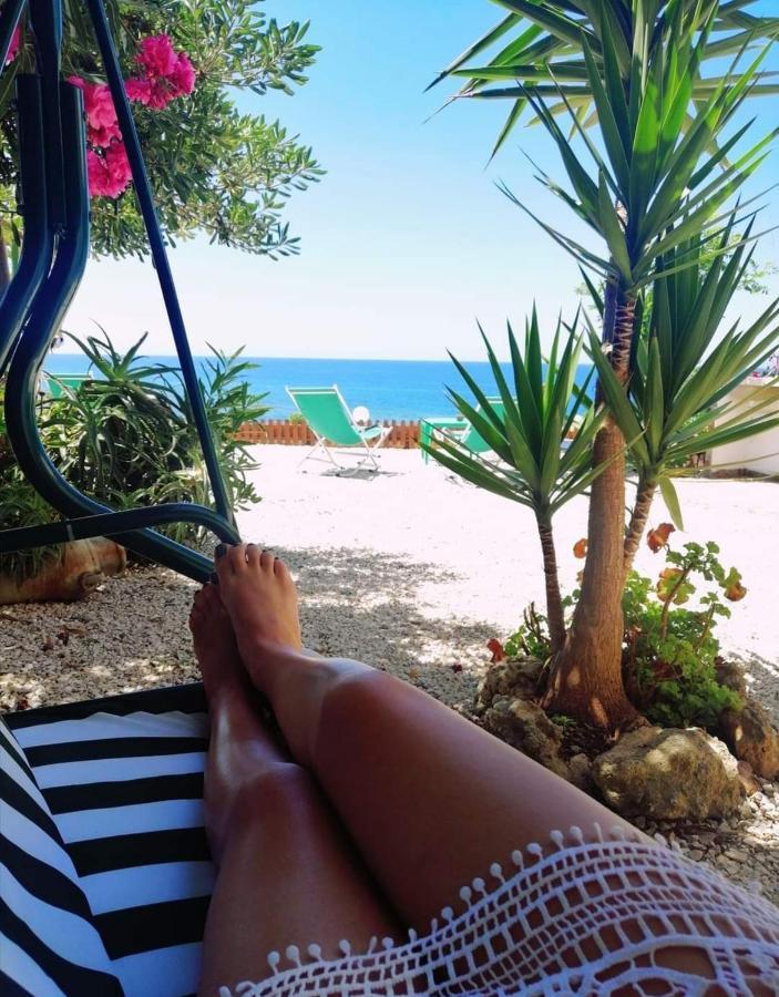 Albatros - Casa Alina Holiday home