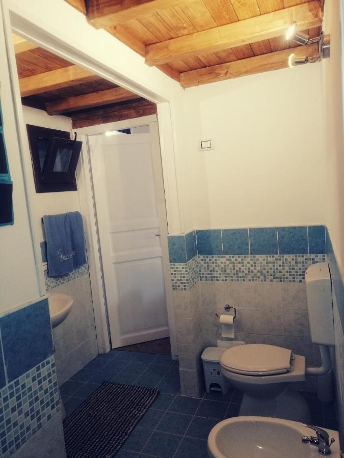 Albatros - Casa Alina Holiday home