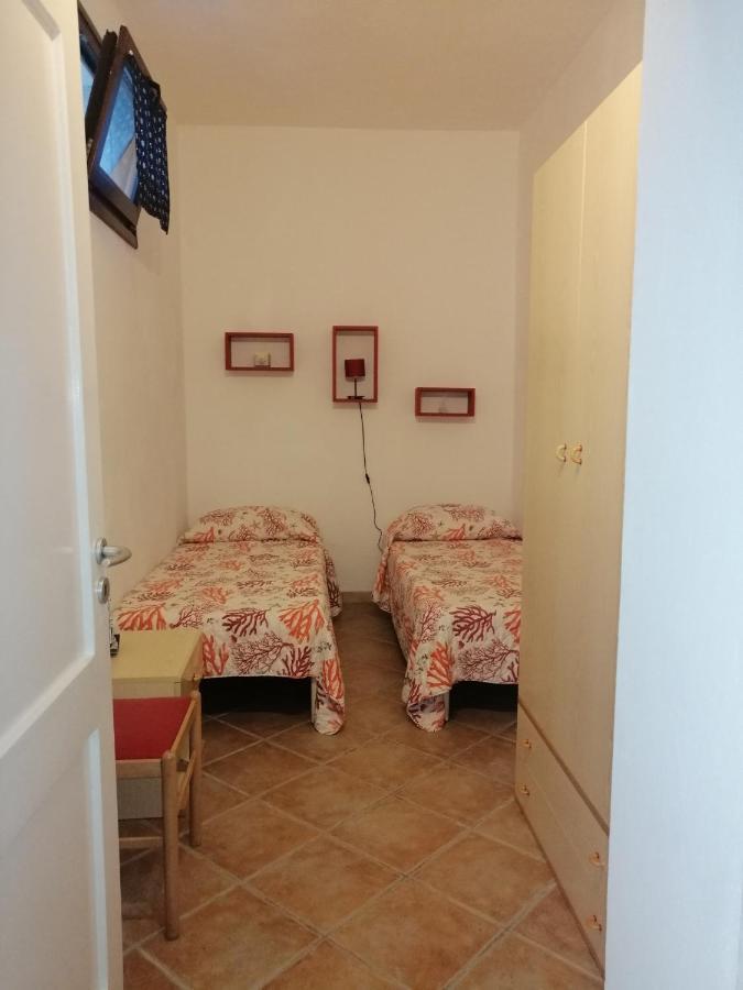 Albatros - Casa Alina Holiday home