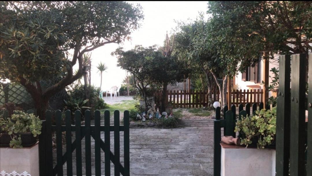 Albatros - Casa Alina Holiday home *