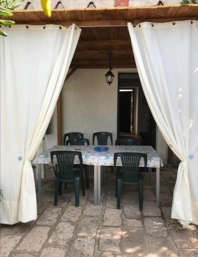 Albatros - Casa Alina Holiday home