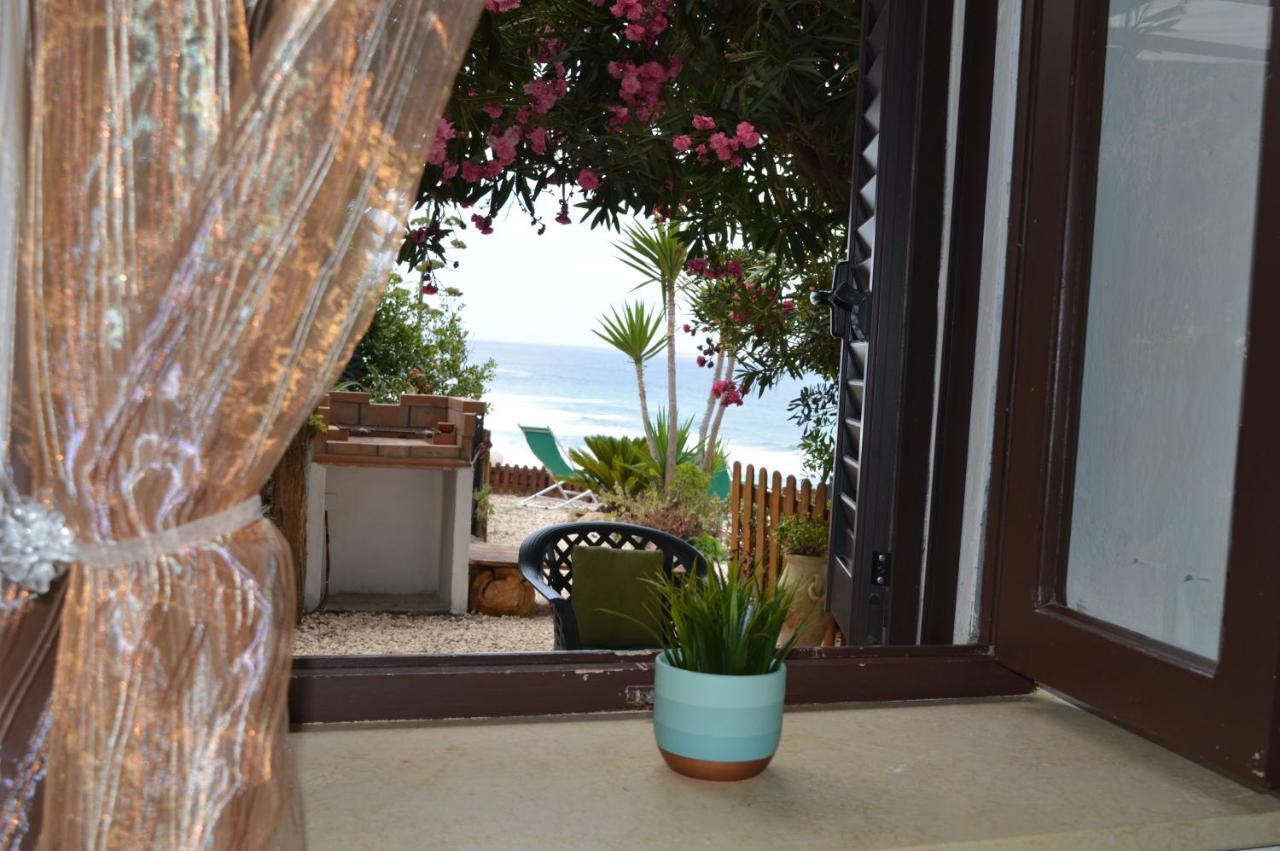 Vakantiehuis Albatros - Casa Alina Tresnuraghes